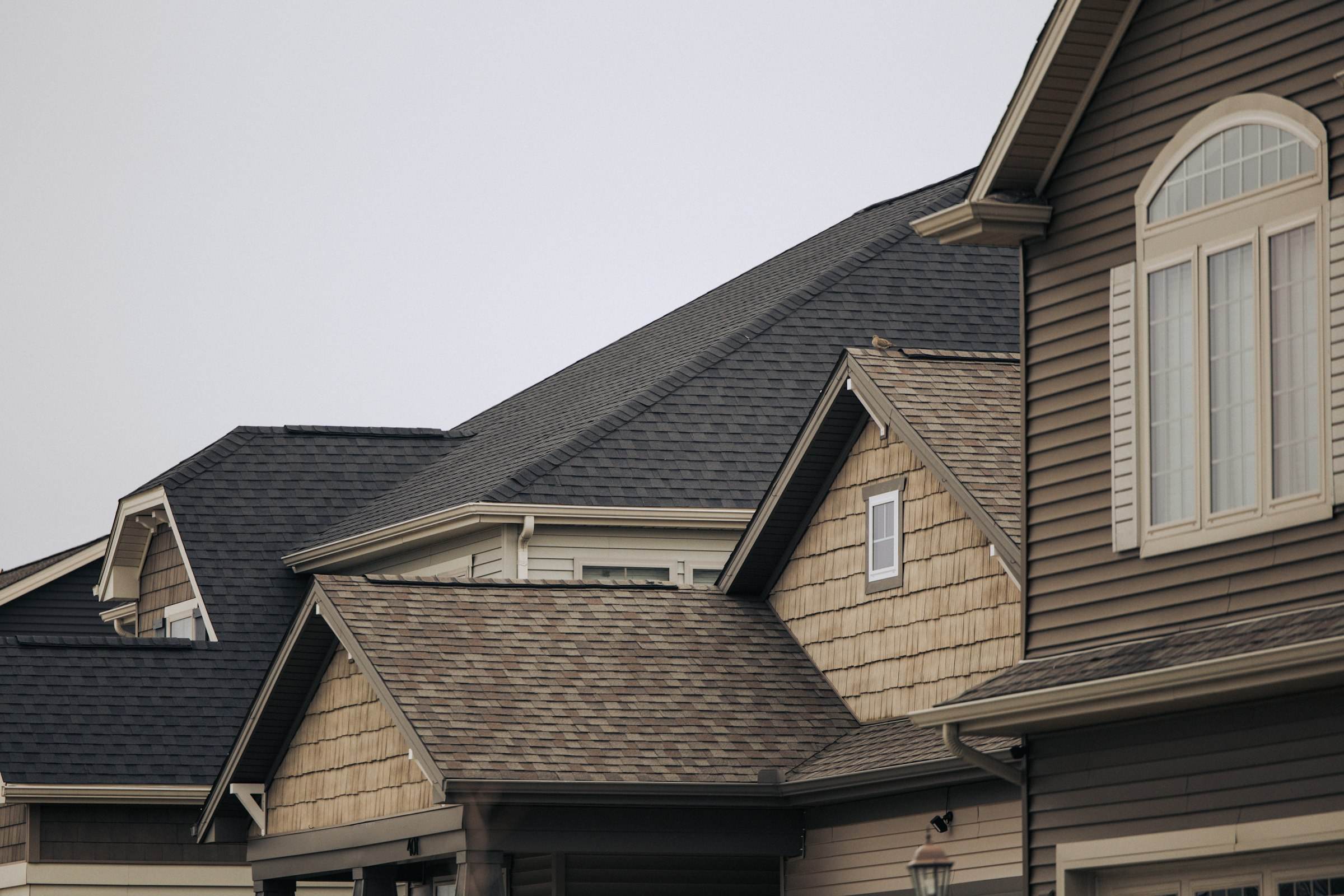 Steep architectural shingle rooflines and gables on neighboring homes under an overcast sky